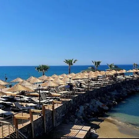 Riverside Garden & Suna's Club