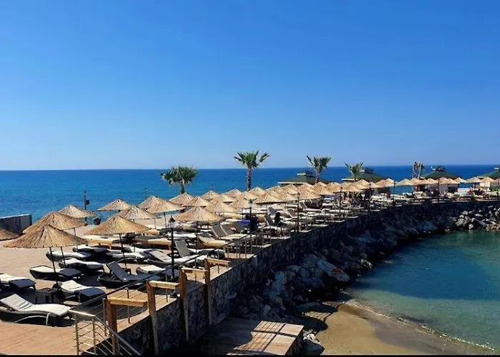 Riverside Garden & Suna's Club